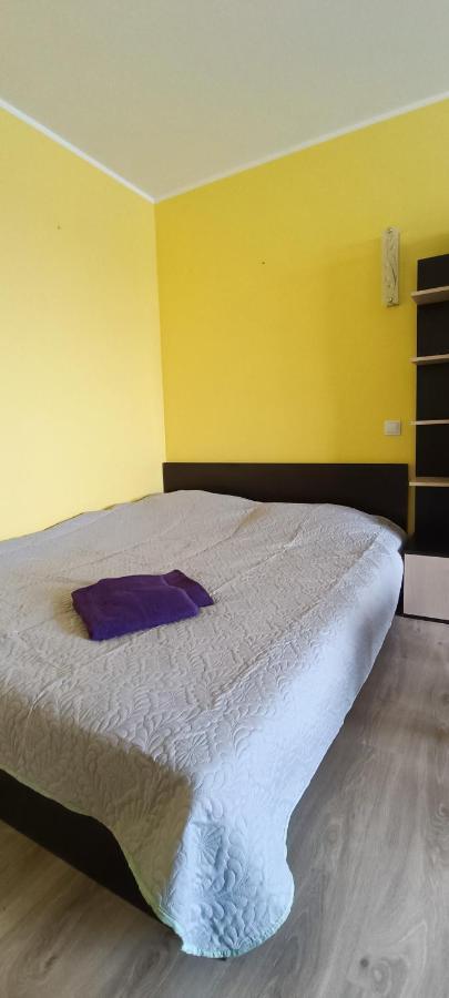 Adeles Apartamentai Panevezyje Panevezys Bagian luar foto